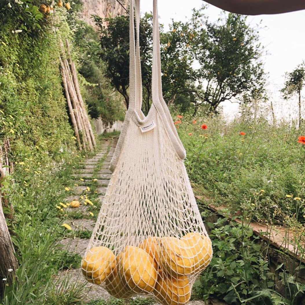 Lifestyle photo showing a person carrying fresh lemons from the garden back along the garden path to the home.